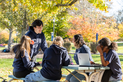 Collaborative (Group) Learning Online